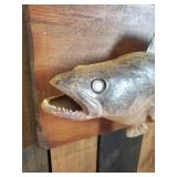 Fantastic Stuart Tollefsen Ceramic Walleye Art WOW