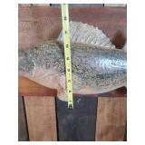 Fantastic Stuart Tollefsen Ceramic Walleye Art WOW