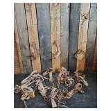 15 Vintage Assortment of Animal Traps