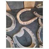 10 Real Heavy Used Horseshoes