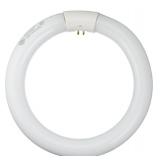 GE Lot of 6- Garage and Basement Circline Cool White Bulbs, 8.25 Inch Diameter, FC8 T9 Light Bulbs