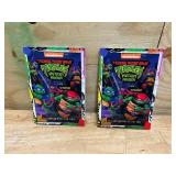 TEENAGE MUTANT NINJA TURTLES Lot of 2 Throw Blankets and 3 Books
