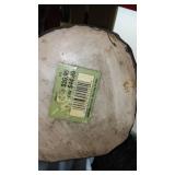 Set of 7 Angel Statues