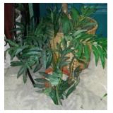 Silk Trees(3) and Plants(3).