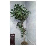 Silk Trees(3) and Plants(3).