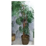 Silk Trees(3) and Plants(3).