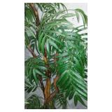 Silk Trees(3) and Plants(3).