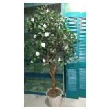 Silk Trees(3) and Plants(3).