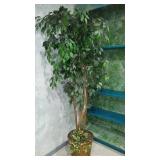 Silk Trees(3) and Plants(3).