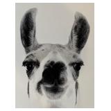 Framed Cute Black and White Llama / Alpaca Print
