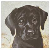 Adorable Limited Edition Print by L.R. Kaatz