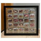 Floating Frame with Many Beautiful Dog Prints
