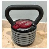 20 and 45 Pound Weights by Fitness Gear and Weider