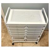 12 Drawer White Organizational Cart