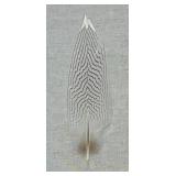 Beautiful Framed Feather Decor