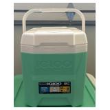Igloo 12 and 38 Quart Coolers