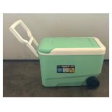 Igloo 12 and 38 Quart Coolers
