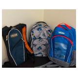 Three Backpacks, Camelbak and Batman
