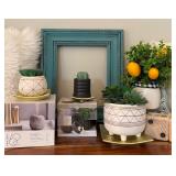 Beautiful Decor with Plants, Frame, Electric Wax Warner, Pillows and More