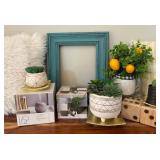Beautiful Decor with Plants, Frame, Electric Wax Warner, Pillows and More