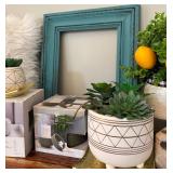 Beautiful Decor with Plants, Frame, Electric Wax Warner, Pillows and More