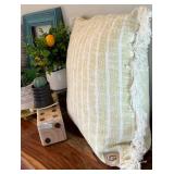 Beautiful Decor with Plants, Frame, Electric Wax Warner, Pillows and More