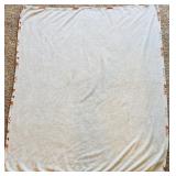 2 Blankets Including A Fall Theme and A Poptart Blanket