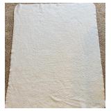 2 Blankets Including A Fall Theme and A Poptart Blanket