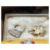 Rocks, Gems & Fossils Collection