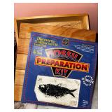 Fossil & Shell Collection with Kit