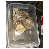 Geological and Natural Specimen Lot