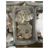Geological and Natural Specimen Lot