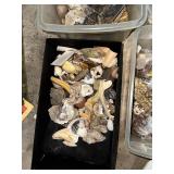 Geological and Natural Specimen Lot