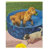SUN SQUAD DOG POOL 12 IN H X 40 IN DIAMETER