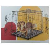 Wire Collapsible Dog Crate - Black - Boots & Barkley™ - Small