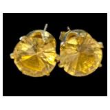 Pretty Stud Pierced Earrings