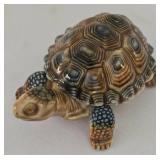 Diversely Styled Turtle Collection