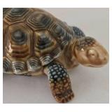 Diversely Styled Turtle Collection