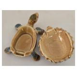 Diversely Styled Turtle Collection