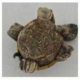Diversely Styled Turtle Collection