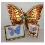 Beautiful Butterfly Decor