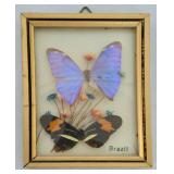 Beautiful Butterfly Decor
