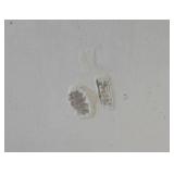 Large White Techline Bureau