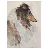 Sweet Collie Collection