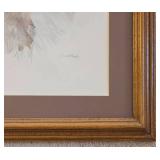 Sweet Collie Collection