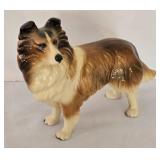 Sweet Collie Collection