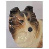 Sweet Collie Collection