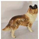 Sweet Collie Collection