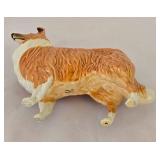 Sweet Collie Collection