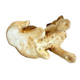 Delightful Dog Figurines by Beswick and More